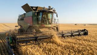 How Bread is Made: The Most Advanced Massive Wheat Harvest in the USA