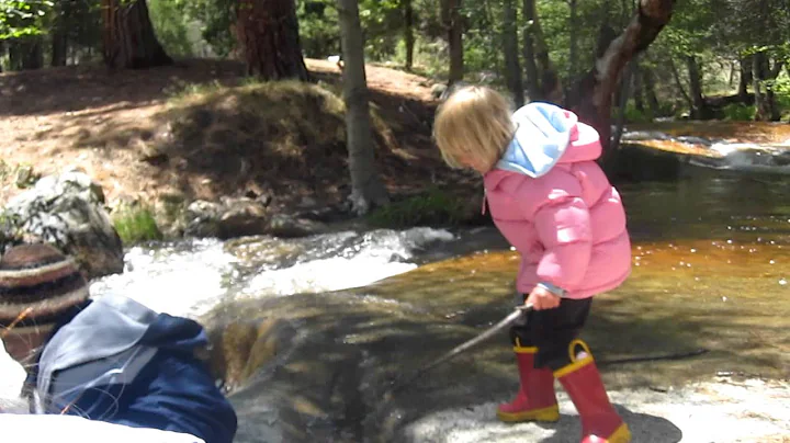 Creek Side at Camp Whitsett