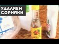 Удаляем сорняки с помощью уксуса 🌿 Remove the grass with vinegar