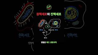 원핵세포와 진핵세포의 차이점은? #원핵세포 #진핵세포