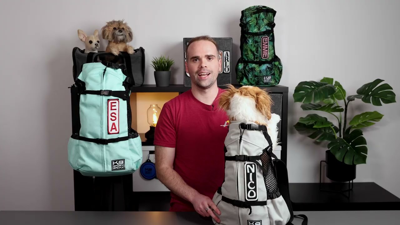 K9 Sport Sack® Air 2 (Extra Small Jet Black) K9 Sports Sack Touch