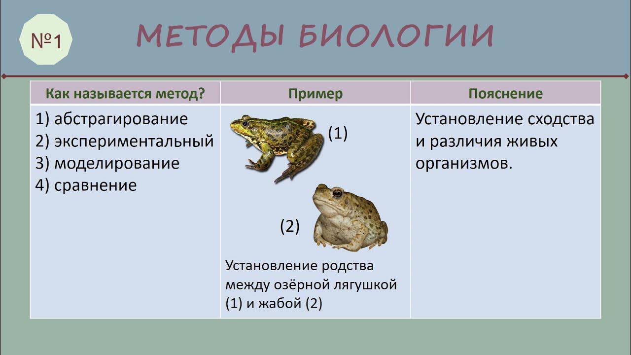 Впр по биологии 8 гущин