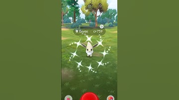 Shiny Eevee! #Pokemon #PokemonGo #ShinyPokemon #ShinyHunting