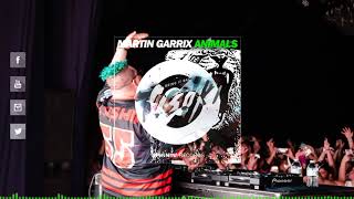 Martin Garrix vs. Tisoki - Animals vs. Bring It Back (Slushii Extended Mashup)