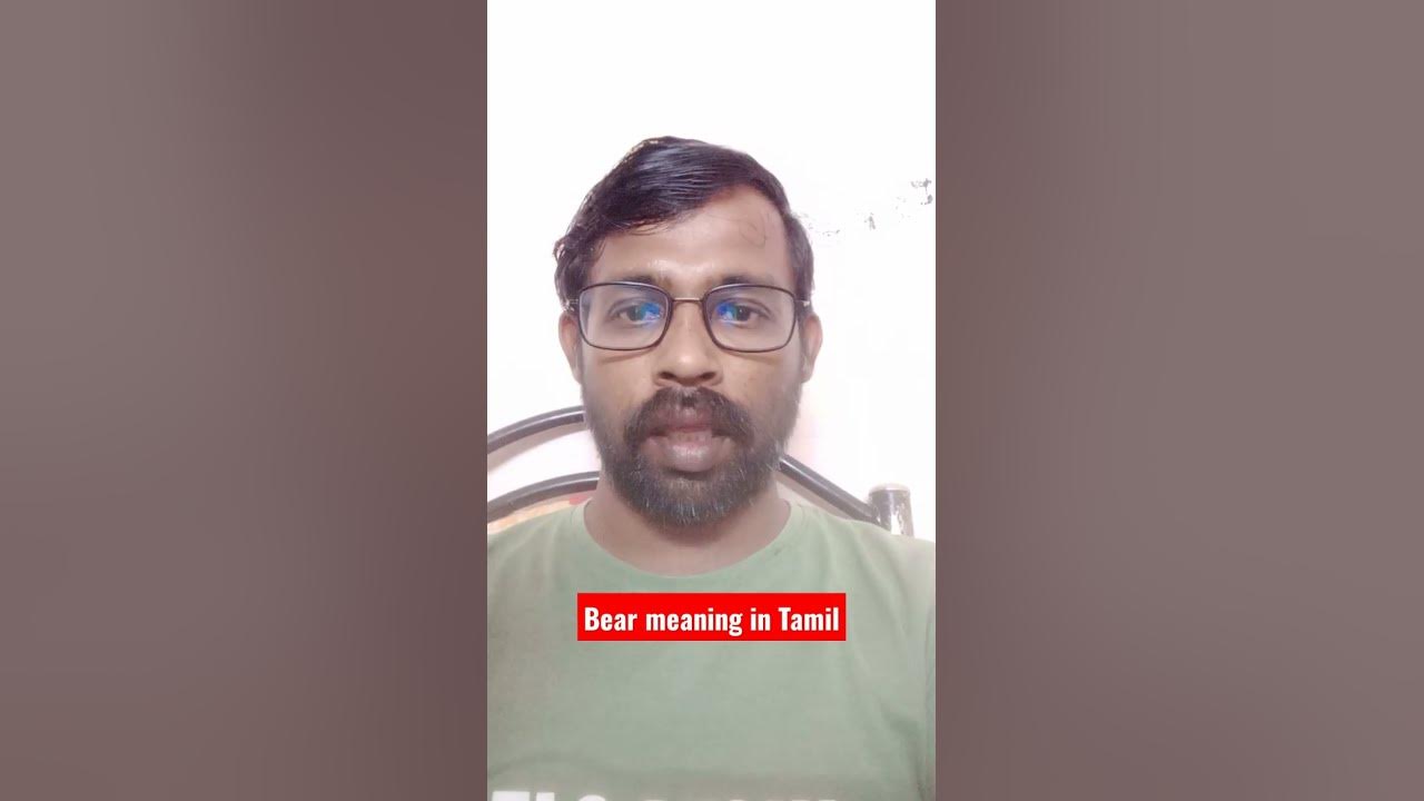 Bear meaning in Tamil YouTube