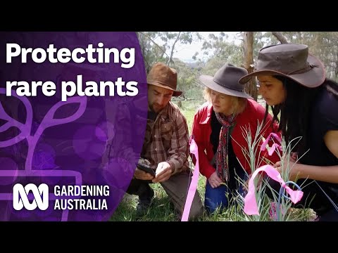 Video: Unique Plants In Australia