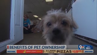A new study shows pets  benefit seniors