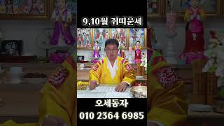 [9,10월 쥐띠운세] 나이대별 띠별운세 사주 신점 영점 서울점집 강동구점집 점집추천 금전 재물 사업 건강 …