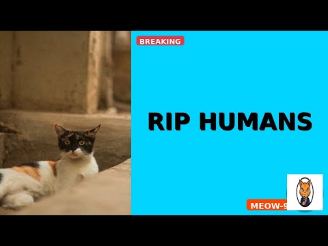 Read Nabanita Pain's Latest MEAWW Report