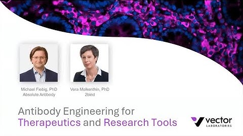 Antibody Engineering for Therapeutics and Research Tools