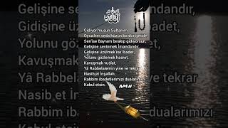 Arifemiz Mübarek Olsun Gulanne4280