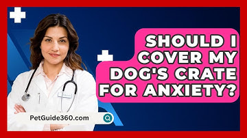 Should I Cover My Dog