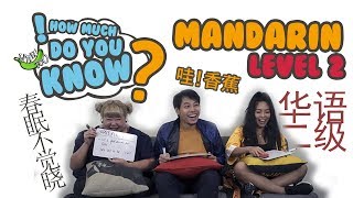 How Much Do You Know  Mandarin Level 2