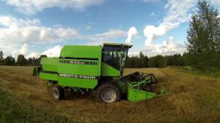 Kauran puintia 2016 / Oats harvest 2016 (HD)