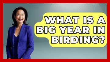What Is A Big Year In Birding? - Bird Watching Diaries