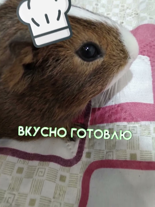 Ну кто я если не идеал? - YouTube