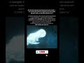 ☠️A explosão de RAIOS GAMA mais longa já registrada!#Shorts #Astronomia #BuracoNegro #Universo
