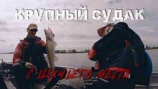 КРУПНЫЙ СУДАК с щучьего места - Рыбалка со stigan&#39;ом