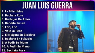 Juan Luis Guerra 2024 MIX Las Mejores Canciones - La Bilirrubina, Bachata Rosa, Burbujas De Amor...