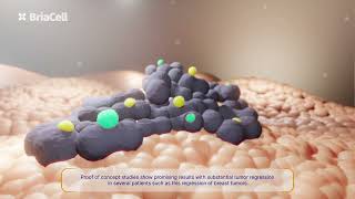 How Bria-Imt And Bria-Ots Destroy Cancer Cells Video