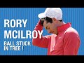 RORY McILROYS BALL GETS STUCK IN TREE!