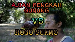 Ajian Rengkah Gunung (Sudawirat VS Sengkang Baplang)