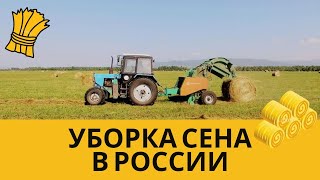 Уборка сена в Сибири, сенокос в России, как убирают сено в деревне 2021