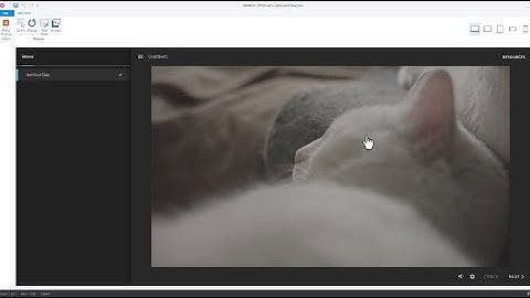 Prevent Users from Inadvertently Pausing Videos in Articulate Storyline 360