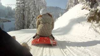 Snow Fun With Chilly Snow Fun With Chilly