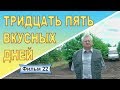 Черешневый сад Сорт Сытная Фильм 22