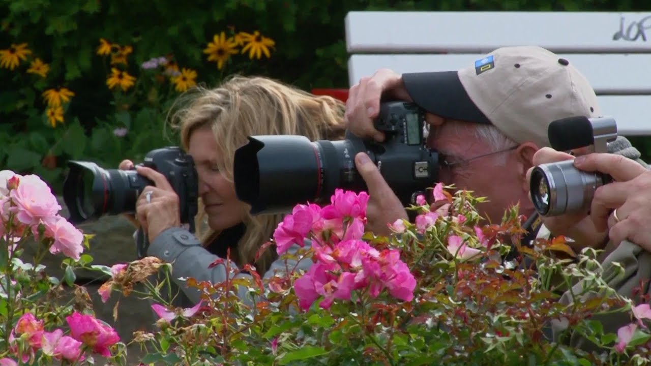 Photo Tips from the Field: Shooting in Overcast Conditions