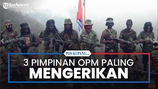 3 Pimpinan OPM dengan Daftar Kejahatan Paling Mengerikan