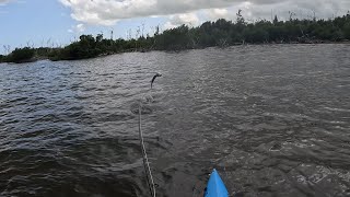 Stormy Day Fishing.  200 Tarpon Spot Confirmed. by Key West Kayak Fishing 2,956 views 6 days ago 24 minutes