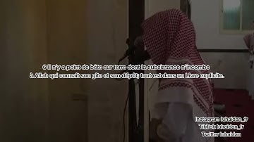 THE BEST IMITATION OF MUHAMMAD AL LUHAIDAN ? | Muhammad Al Naqhidan سورة هود محمدالنقيدان | Hud 1-8