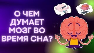 О чем думает мозг во время сна?