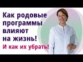 Как родовые программы влияют на нашу жизнь