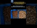 Bauxite upgrade percentage 10mm to 50mm#bauxite #aluminium #oresorting #sensorbasedsorting #sorting
