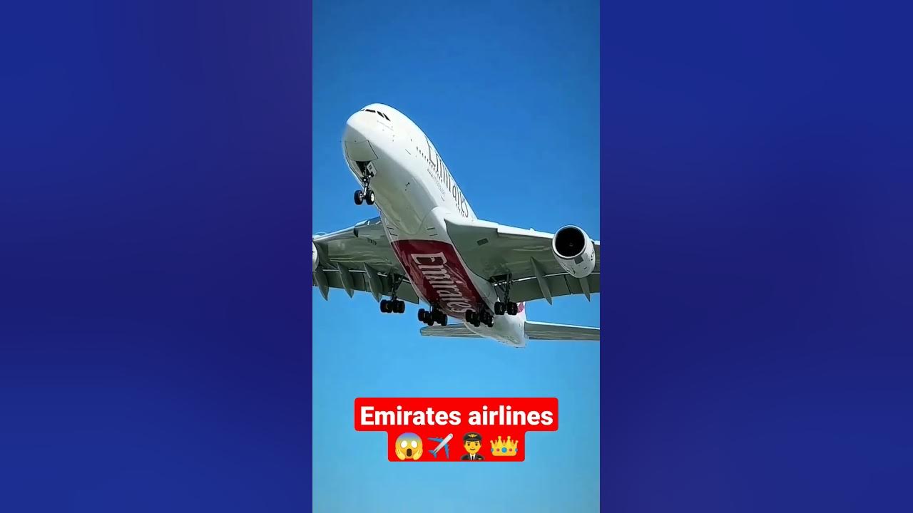 emirates airlines whatsapp statusemirates airlines video statusflight