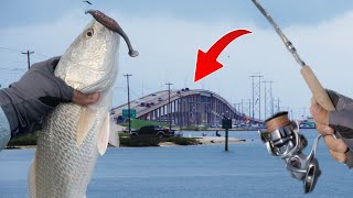 The Secret to Catching Your Limit on JFK Causeway in Corpus Christi, TX