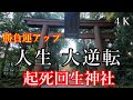 【石上神宮一人旅】人生大逆転 勝負運が成功へ導く 奈良最強の神社 NARA JAPAN
