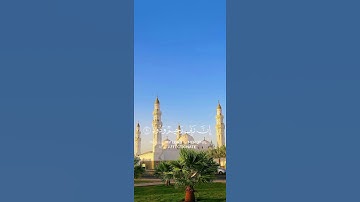 سورة هود {الآية 90} بصوت الشيخ سعد الغامدي ❤️