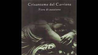 Crisantemo Del Carrione 2007 Fiore Di Passione