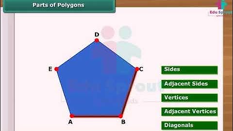🌈 CBSE Syllabus Class 6 MATHS Lesson 6 - Curves And Polygons | CBSE | NCERT | State Board |  🎓