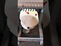 How to embroider a hat #custom #customhat #customhats #embroidery #ricoma #ottocap