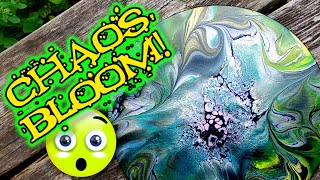 84.Chaos Bloom? I dont know what to call it but - Youll Love the Shimmer! #tlp