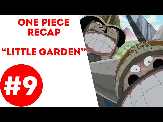 One Piece Recap #9 : Little Garden Arc - Youtube