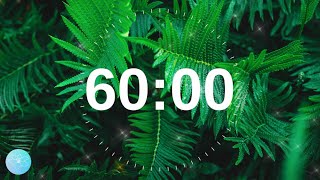 One HOUR Relaxing Music with Alarm screenshot 5