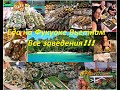 Еда на Фукуоке / Все заведения / пляж Лонг Бич / Вьетнам 2019
