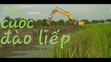 Xe cuốc đào liếp trồng dừa