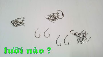 Câu cắm cá lóc, nên chọn lưỡi câu ó hay lưỡi hộp | Thích Câu Cá Lóc